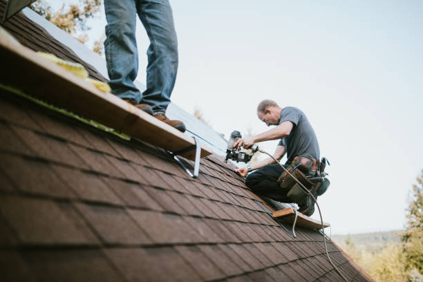 Best Storm Damage Roof Repair  in Carter, TX